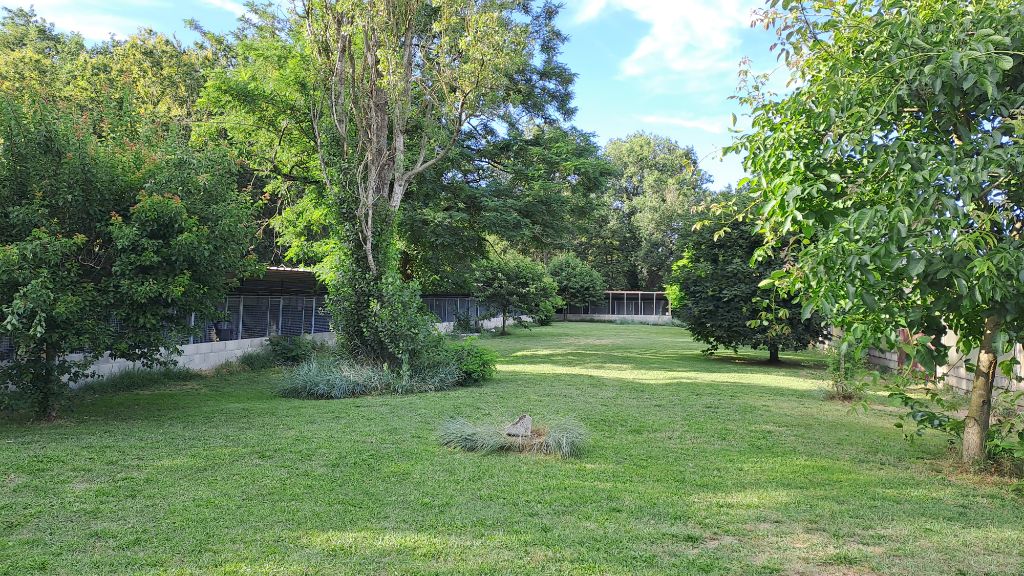 Les parcs clôturés et les box de la pension